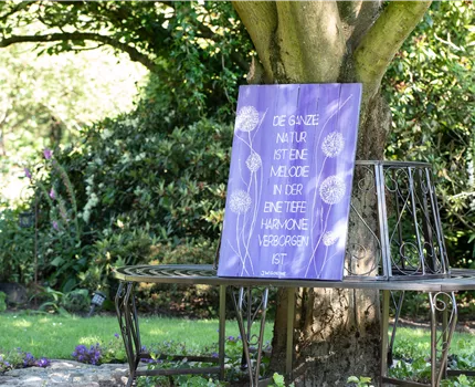 Gartendekoration sorgt für das gewisse Etwas