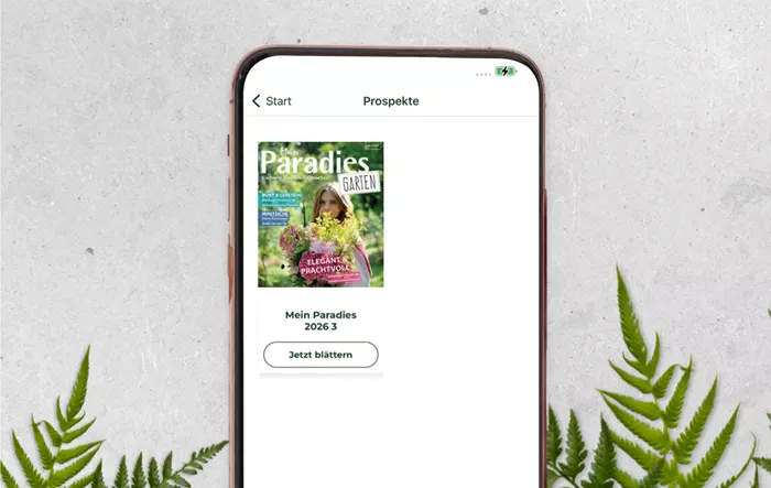 DBIA-Wohlhüter_App_Prospekte.png