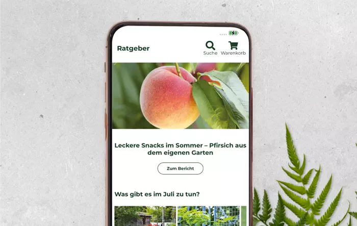 DBIA-Wohlhüter_App_Ratgeber.png